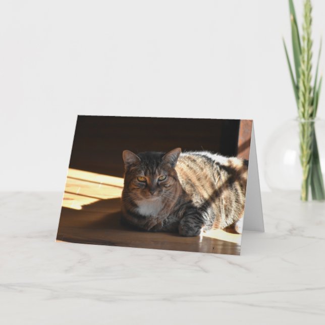 Días lentos, tarjeta (Anverso)