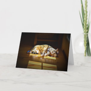 Días lentos, tarjeta