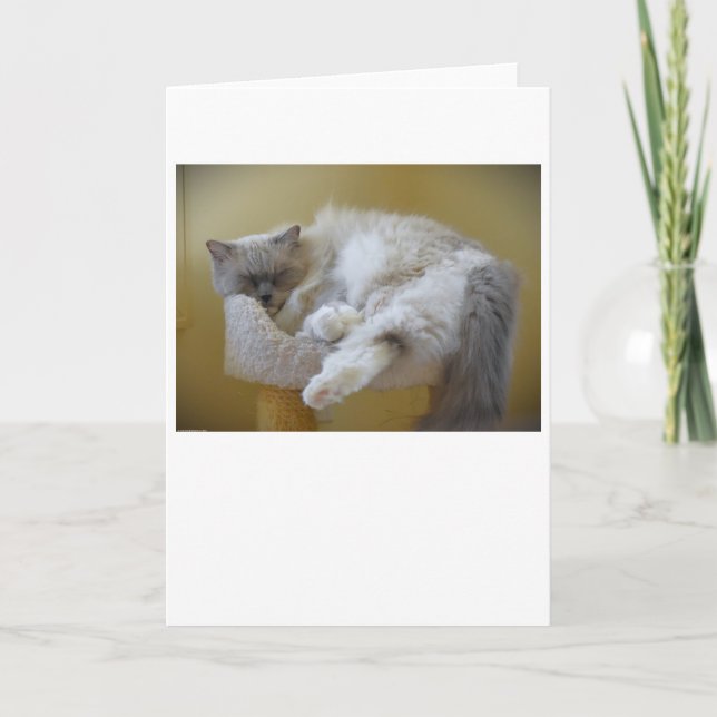 Días lentos, tarjeta (Anverso)