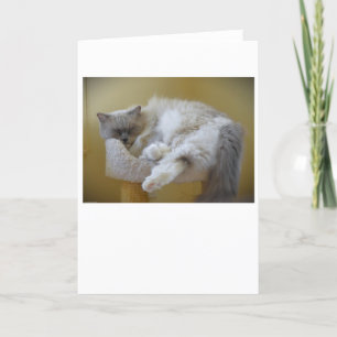 Días lentos, tarjeta