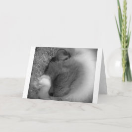 Días lentos, tarjeta