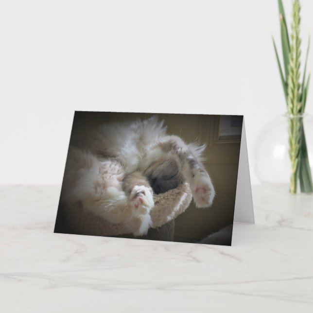 Días lentos, tarjeta (Anverso)