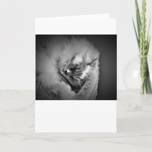 Días lentos, tarjeta (Anverso)