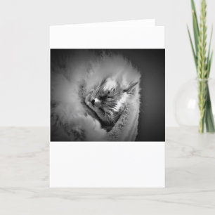 Días lentos, tarjeta