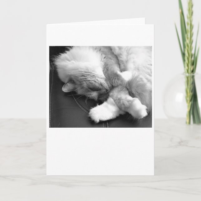 Días lentos, tarjeta (Anverso)