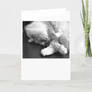 Días lentos, tarjeta