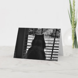 Días lentos, tarjeta