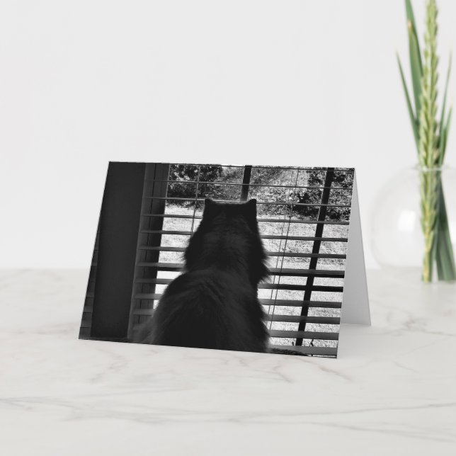 Días lentos, tarjeta (Anverso)