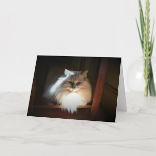 Días lentos, tarjeta