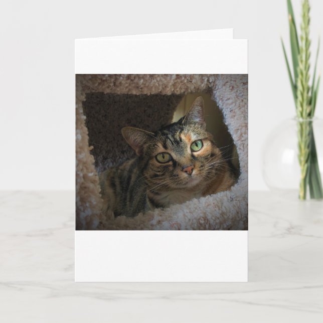 Días lentos, tarjeta (Anverso)