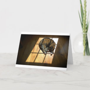 Días lentos, tarjeta