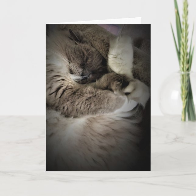 Días lentos, tarjeta (Anverso)