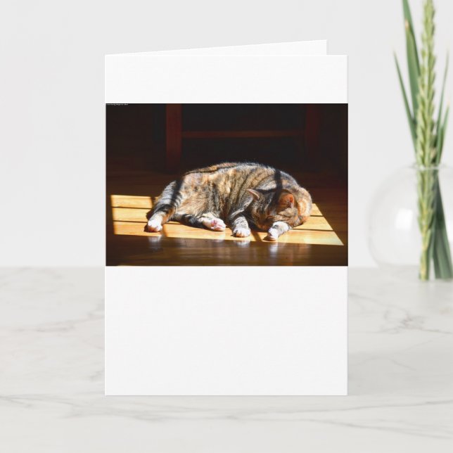 Días lentos, tarjeta (Anverso)