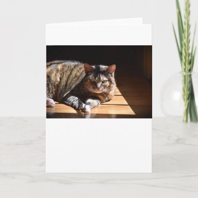 Días lentos, tarjeta (Anverso)