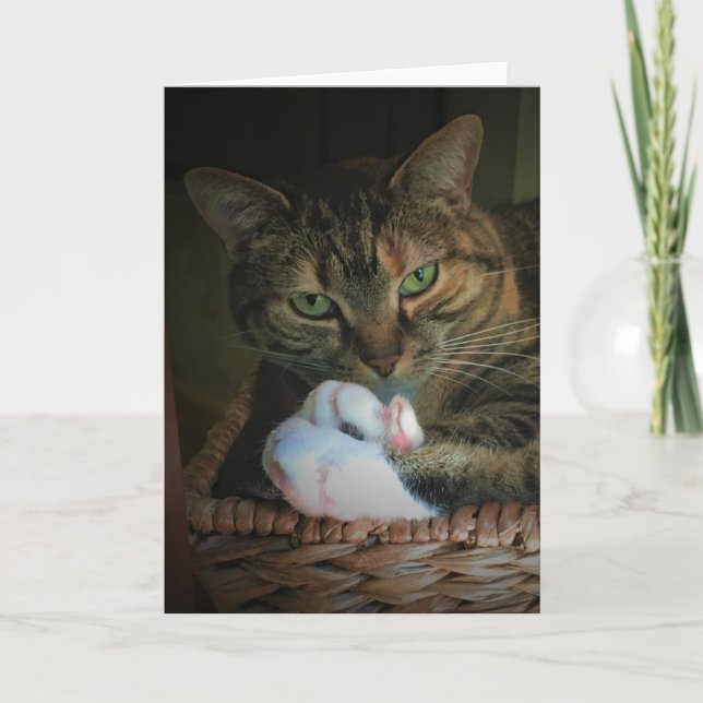 Días lentos, tarjeta (Anverso)