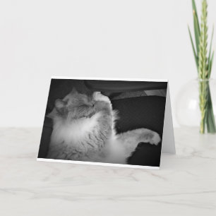 Días lentos, tarjeta