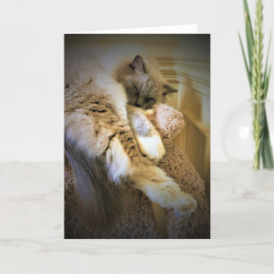 Días lentos, tarjeta