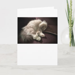 Días lentos, tarjeta