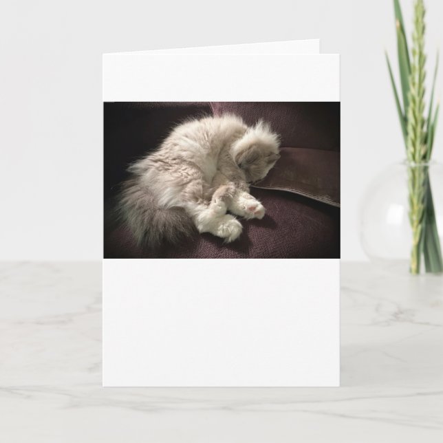 Días lentos, tarjeta (Anverso)