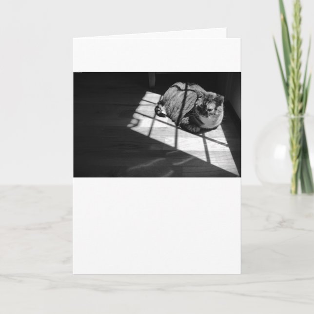 Días lentos, tarjeta (Anverso)