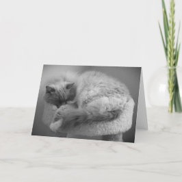 Días lentos, tarjeta