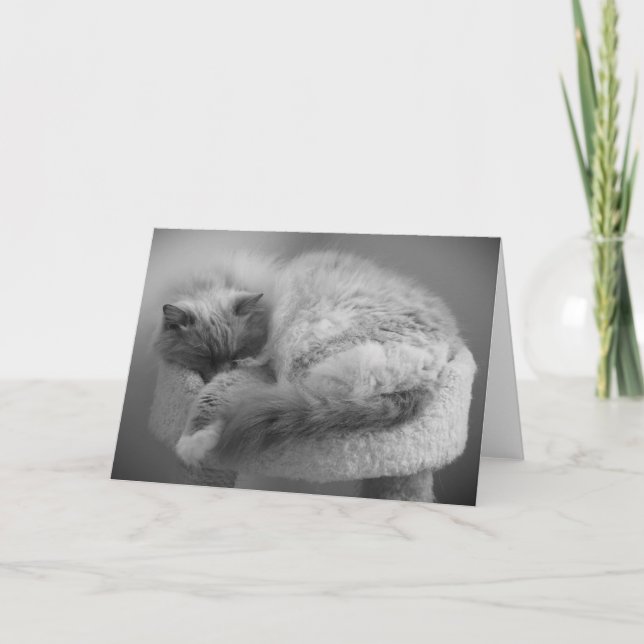 Días lentos, tarjeta (Anverso)