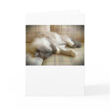 Días lentos, tarjeta