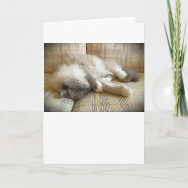 Días lentos, tarjeta (Anverso)