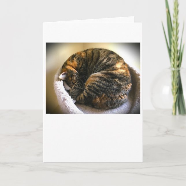 Días lentos, tarjeta (Anverso)