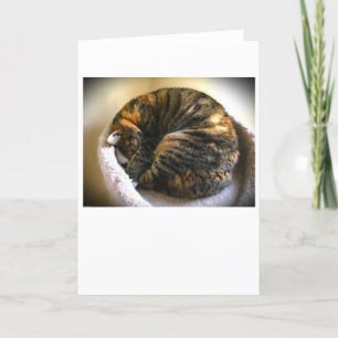 Días lentos, tarjeta