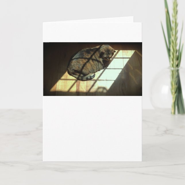 Días lentos, tarjeta (Anverso)