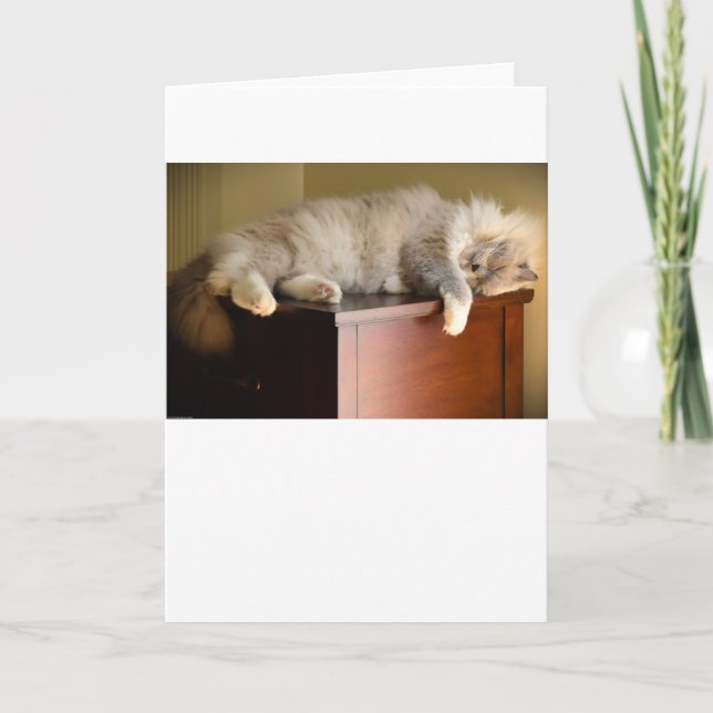 Días lentos, tarjeta (Anverso)