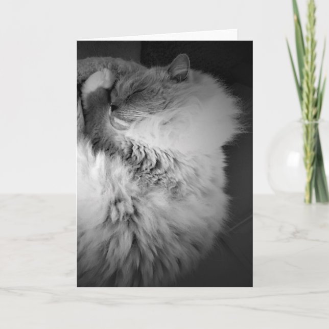 Días lentos, tarjeta (Anverso)