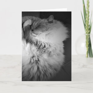 Días lentos, tarjeta