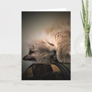 Días lentos, tarjeta