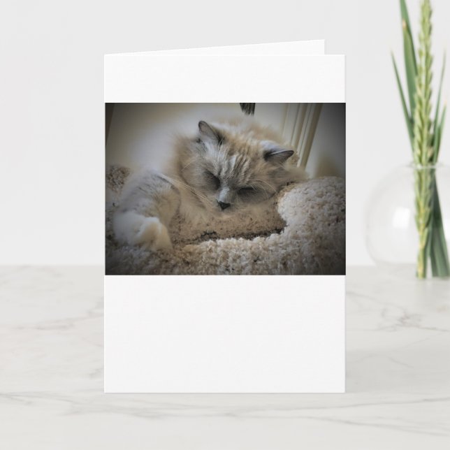 Días lentos, tarjeta (Anverso)