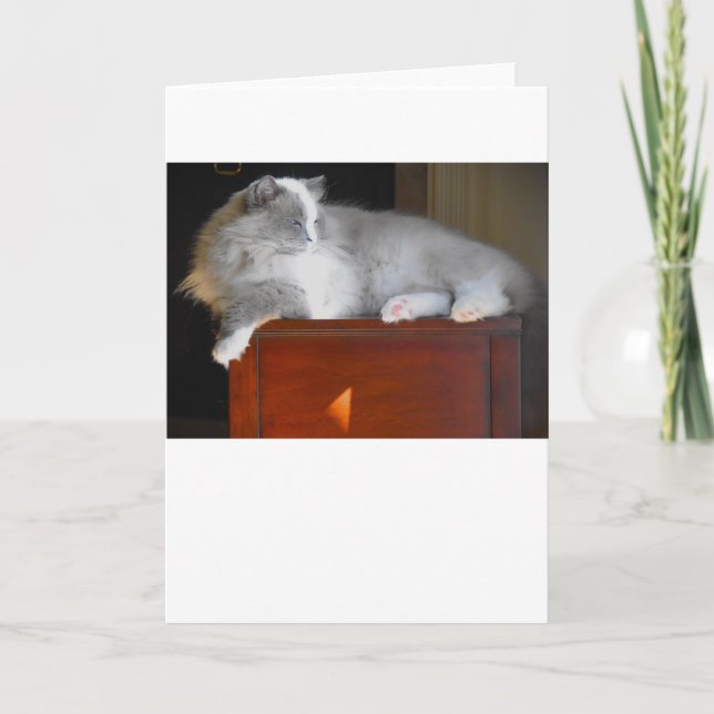 Días lentos, tarjeta (Anverso)