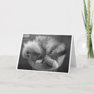 Días lentos, tarjeta