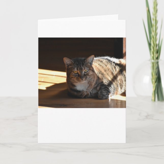 Días lentos, tarjeta (Anverso)