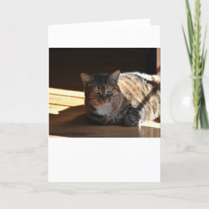 Días lentos, tarjeta