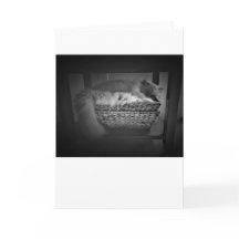 Días lentos, tarjeta