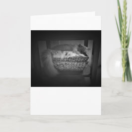 Días lentos, tarjeta