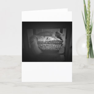 Días lentos, tarjeta