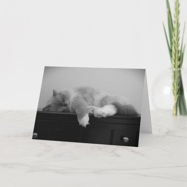 Días lentos, tarjeta (Anverso)