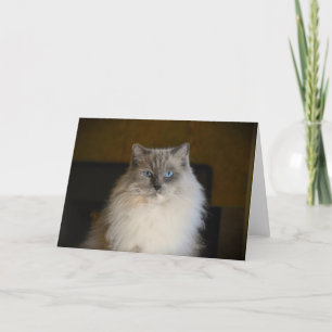 Días lentos, tarjeta