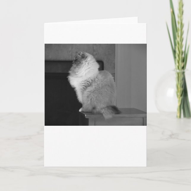 Días lentos, tarjeta (Anverso)