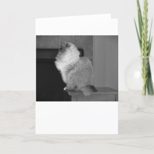 Días lentos, tarjeta