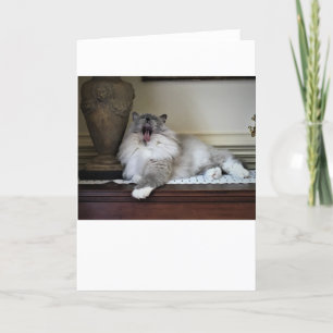 Días lentos, tarjeta