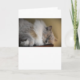 Días lentos, tarjeta