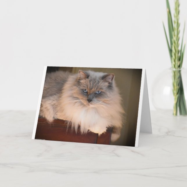 Días lentos, tarjeta (Anverso)